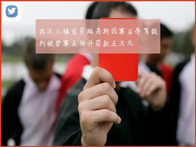 武汉三镇官员路易斯因赛后辱骂裁判被禁赛五场并罚款五万元